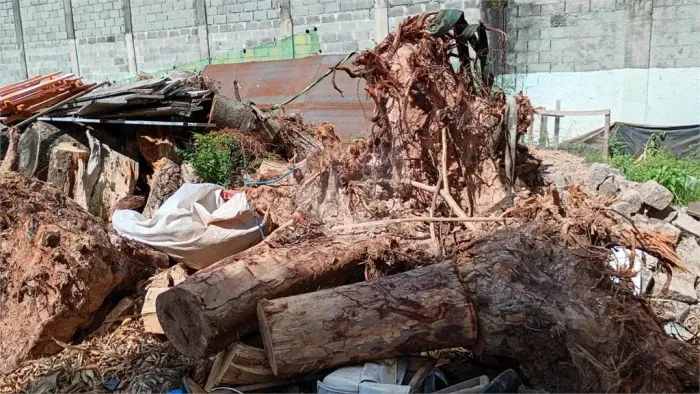 Terreno para locação em Vila Palmeiras - SP