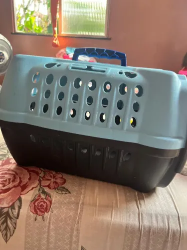 Transporte de pets