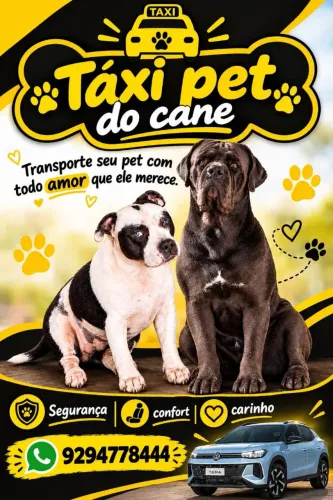 Táxi pet