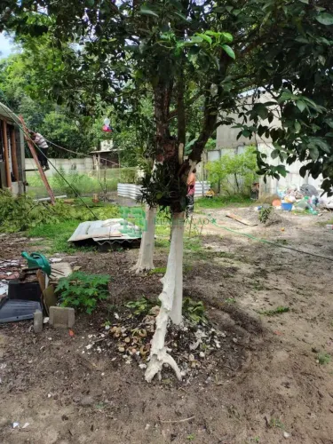 Chácara com 2.000 m² a 100 Metros do Rio em Itanhaém