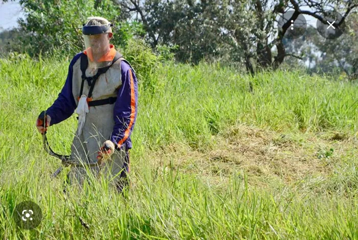 Roçamos quintais e terrenos 