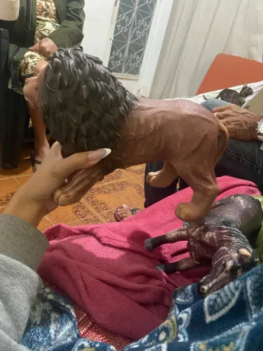 Bonecos para vender brinquedos de homem