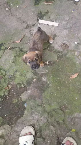 Doação