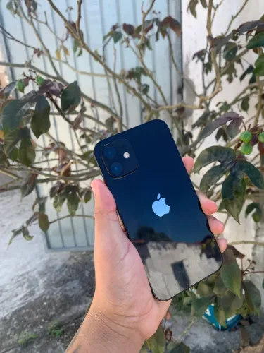 iPhone 12 todo original 128GB novíssimo!