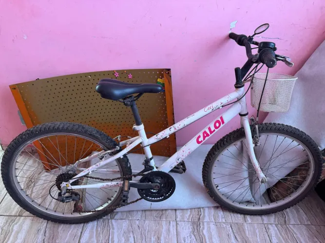 Bicicleta aro 24
