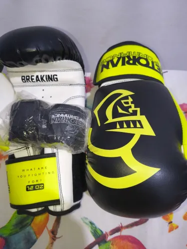 Luva de Box ou Muay Thai 12 Oz nova