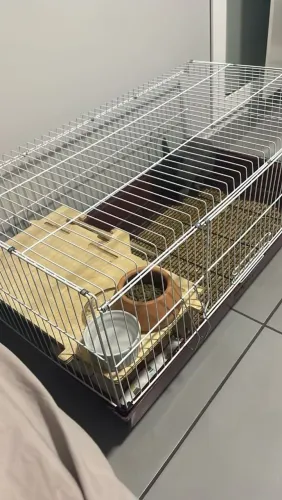 Gaiola para coelhos