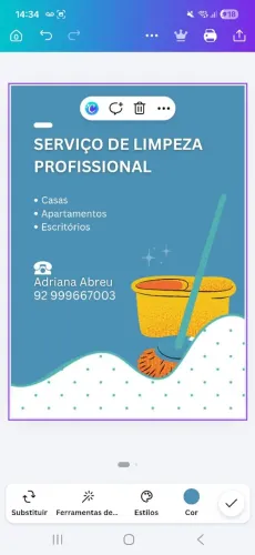 Diarista 