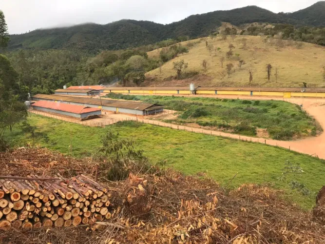 Área de 9,9 hectares, contendo 6 aviários co capacidade de 60 mil frangos, 1 barracão de 2