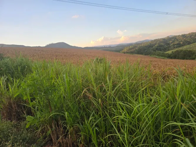 Imóvel para venda com 800000 metros quadrados em Condomínio Voturuna - Santana de Parnaíba