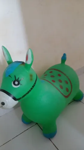 Burrinho