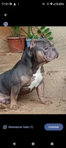 Venda