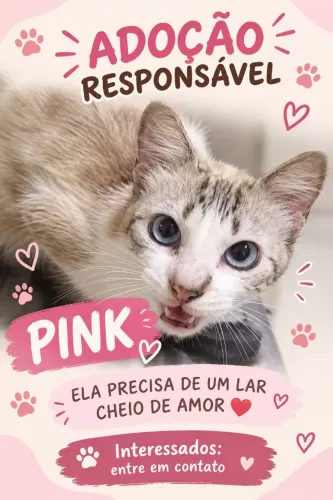 Gatinhos