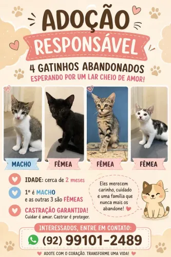 Lindos filhotes gatos