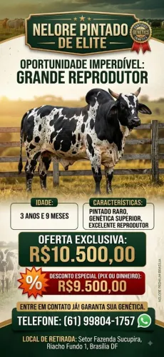 Touro Nelore Pintado de Elite