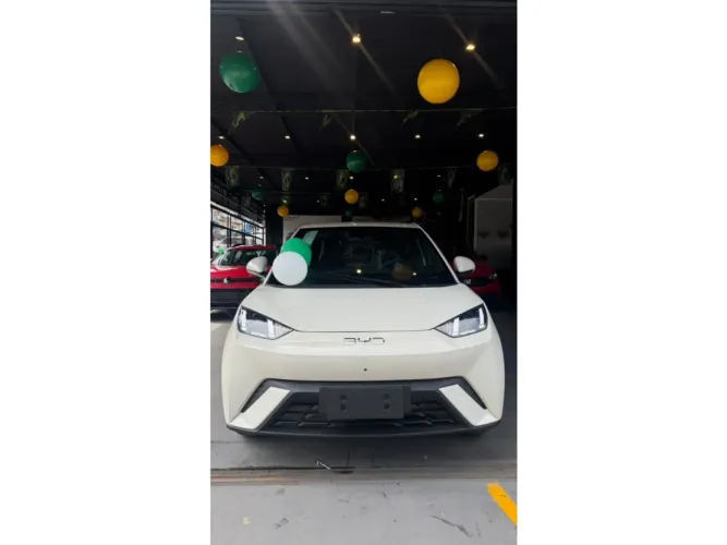BYD Dolphin Mini (Elétrico) 2027