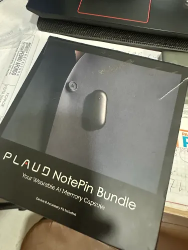 Plaud pin
