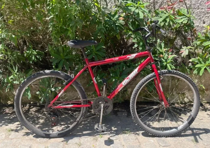 Bicicleta adulto