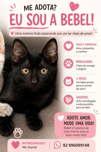 Gatinha fêmea. 
