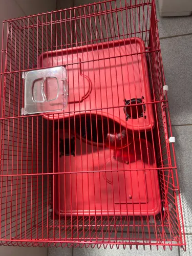 Gaiola para hamster 