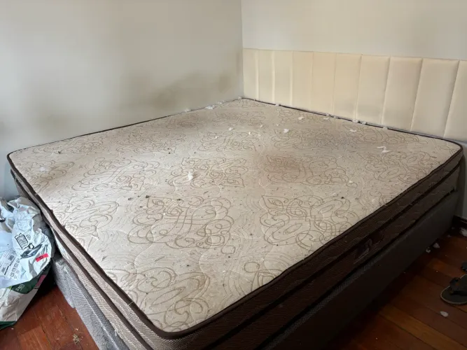 Cama extra king box