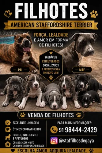 Staffordshire, o amstff.