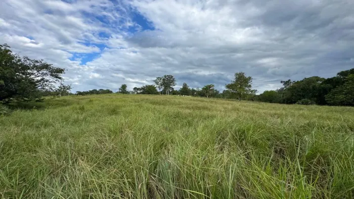 Oportunidade em Goiás velho 