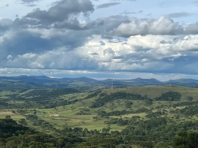 Sítio 2,3 hectares em São Joaquim - próx. Vinícola Pericó