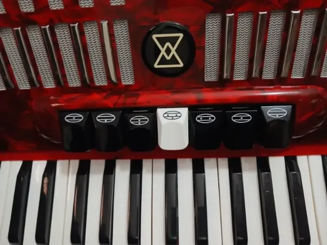Acordeon Michael 120bx (com desmanche lateral) Novíssimo