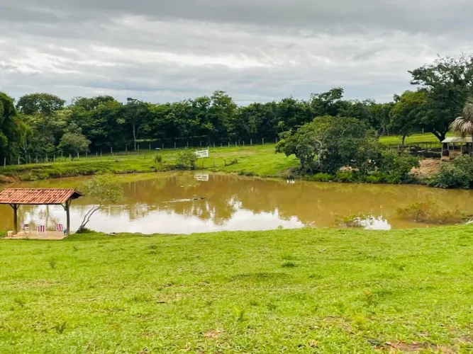 Chácara de 8 alqueires em bela vista de Goias. 4 milhões avista.