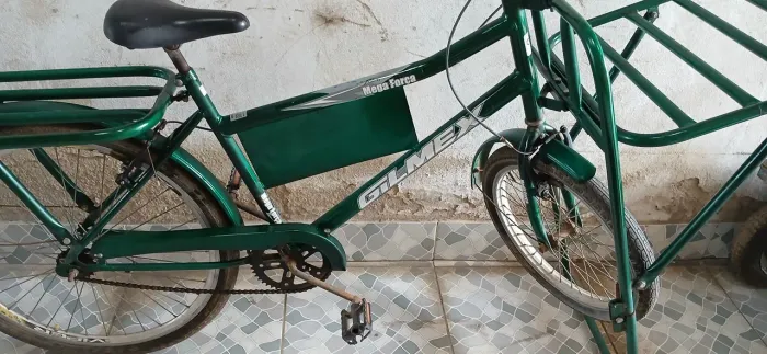 Bicicleta de carga 