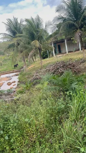 Sítio no Cabo de Santo Agostinho (quase as margens da 101 sentido escada) 
