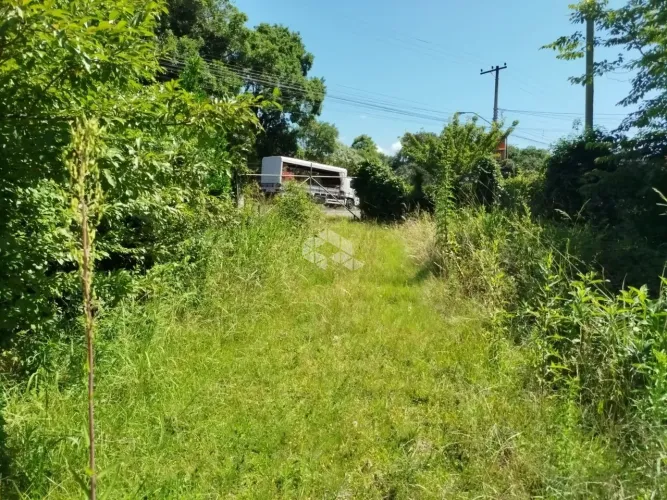 Terreno na avenida 15 de novembro as margens da Rs 235