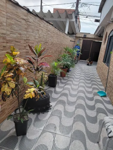 Lindas plantas e bem cuidadas