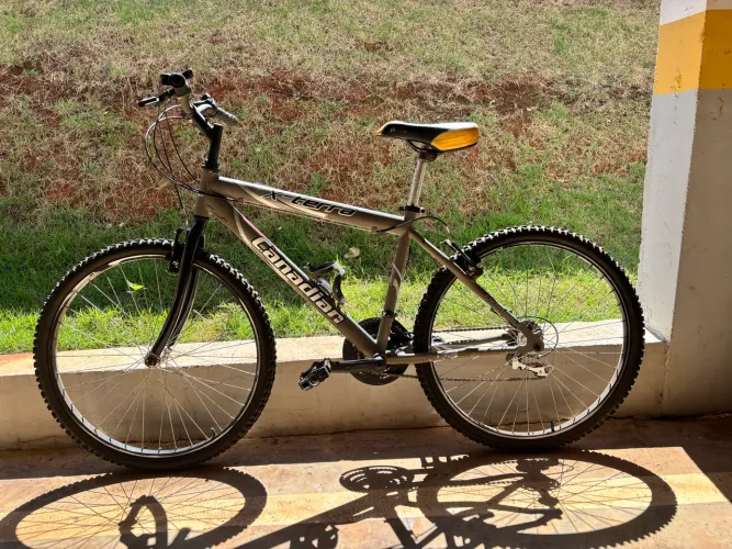 Bicicleta