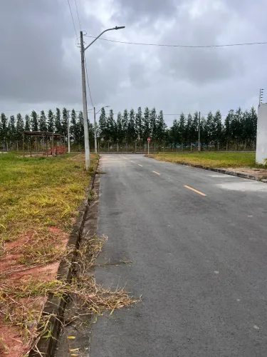 Terreno | 8 por 19