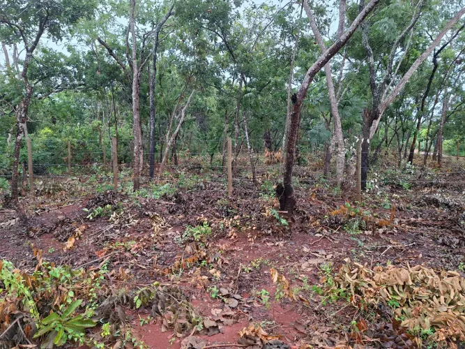 Chácara em São José do buritis ( paredão)400 mts da represa .oportunidade