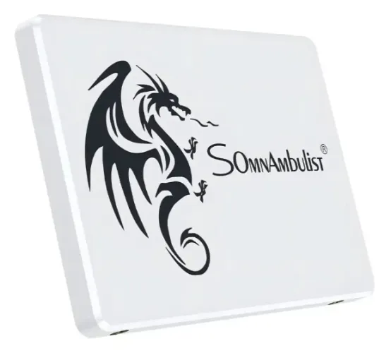 SSD 256gb - NOVO LACRADO