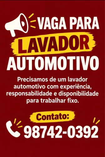 Lavador automotivo