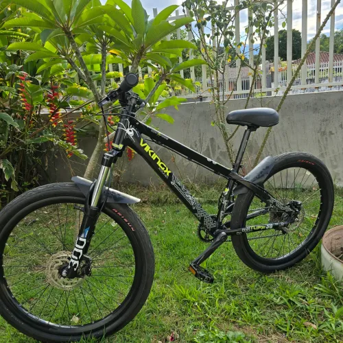 Bike viking dh