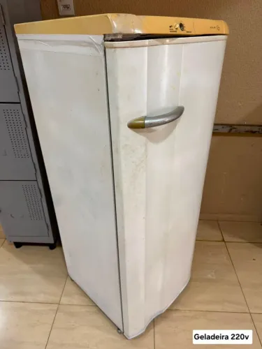 Geladeira 220v - 380,00 A vista