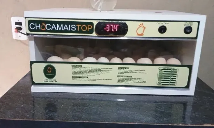 Chocadeira
