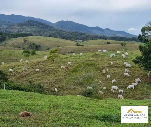 Áreas à venda em rua pública, CENTRO, Coaraci, BA