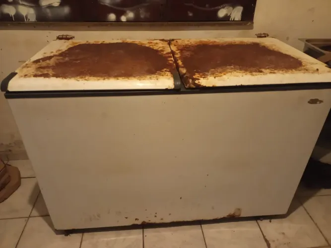 Freezer 2 tampas (vender logo)