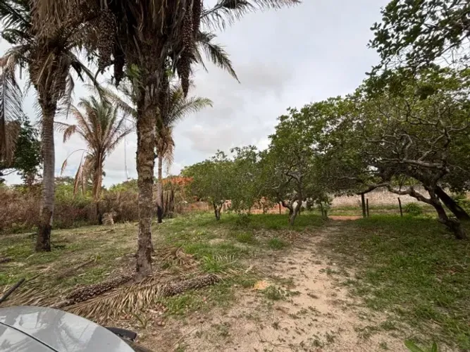 Alugo Área Turu 6.300m2