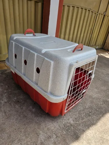 Casinha de Cachorro - Porte Grande