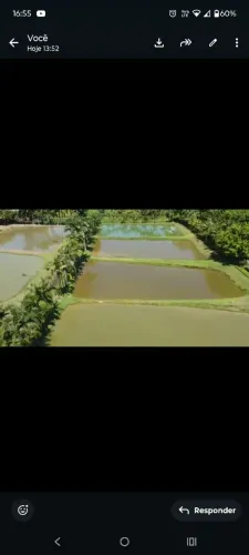 Fazenda