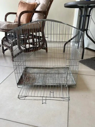 Gaiola calopsita