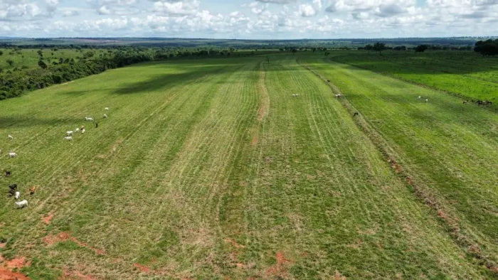 Fazenda 1.345hac em 2 irmãos do buriti MS. 50 milhões.
