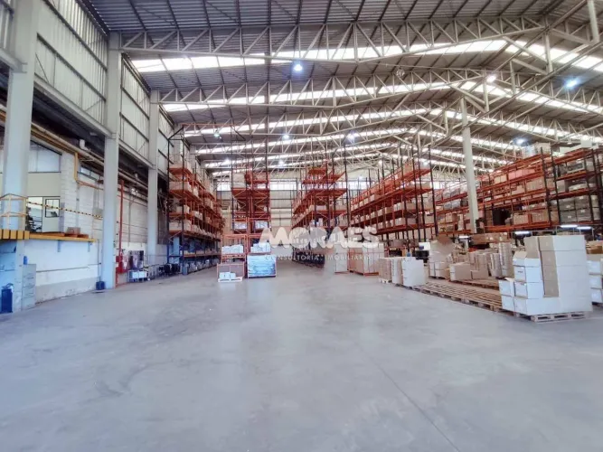 Barracão para alugar, 3000 m² por R$ 80.000/mês - Distrito Industrial Domingos Biancardi -